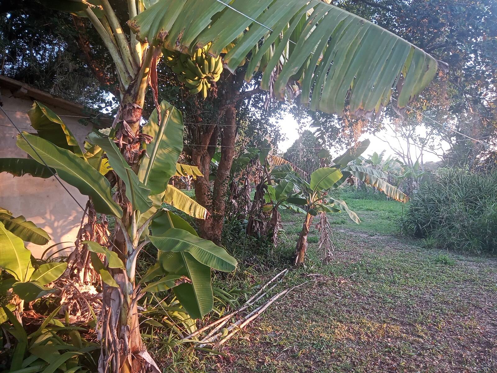 Casa, 3 quartos, 200 m² - Foto 14