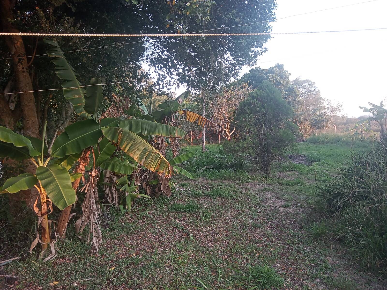 Casa, 3 quartos, 200 m² - Foto 15