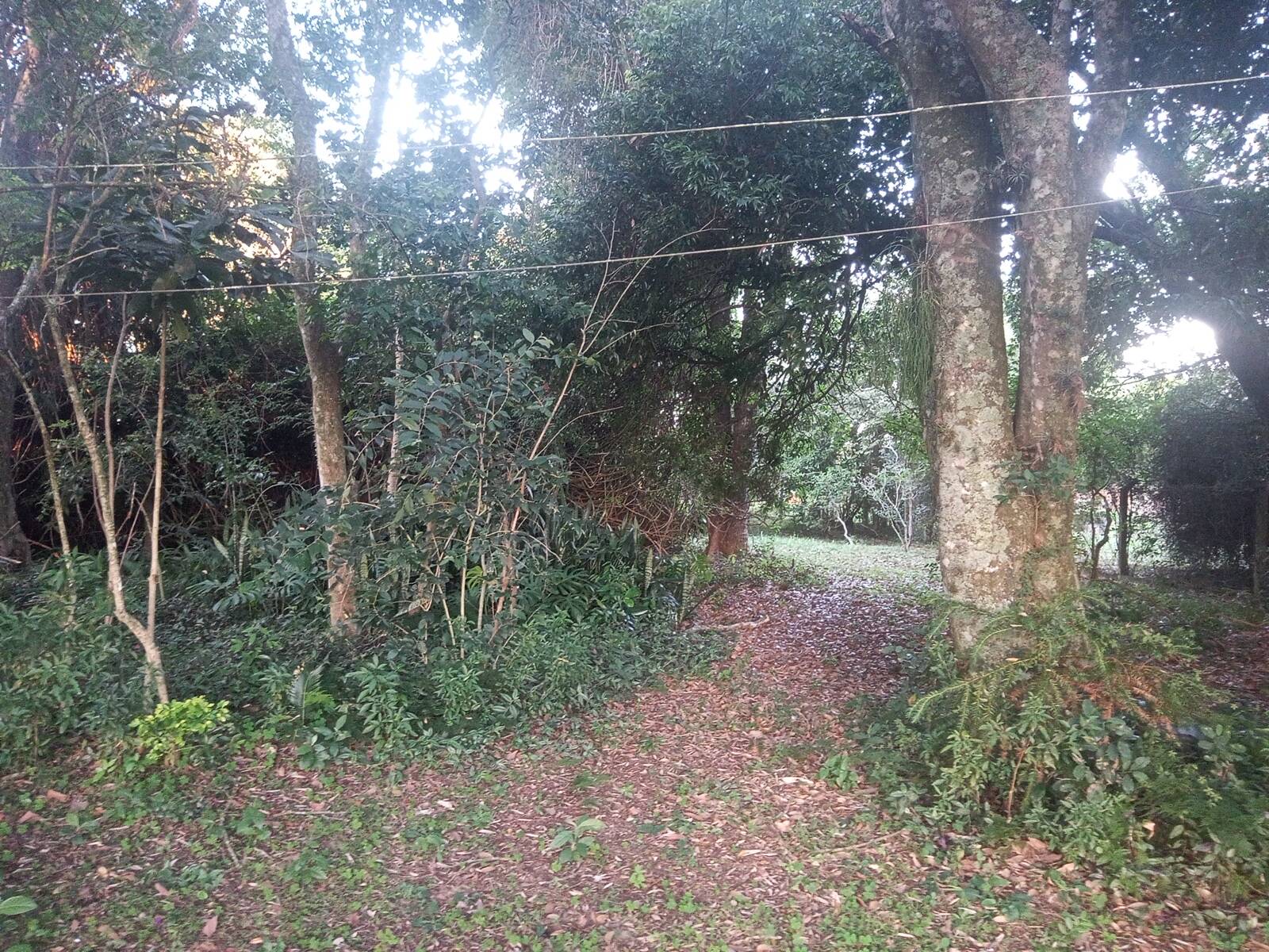 Casa, 3 quartos, 200 m² - Foto 22