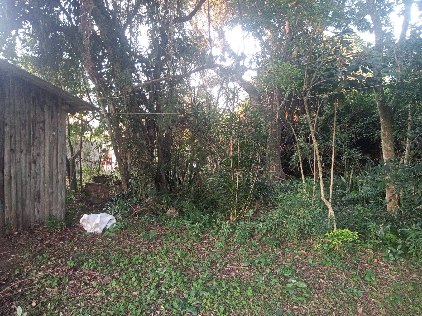 Casa, 3 quartos, 200 m² - Foto 23