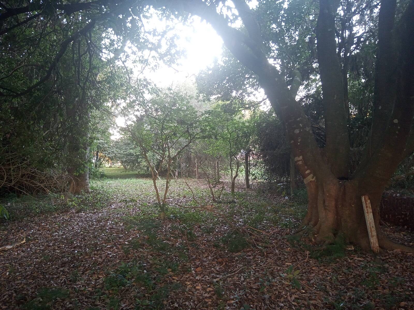 Casa, 3 quartos, 200 m² - Foto 25