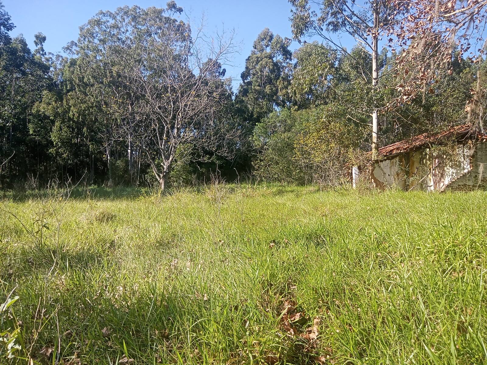 Terreno, 3 hectares - Foto 26