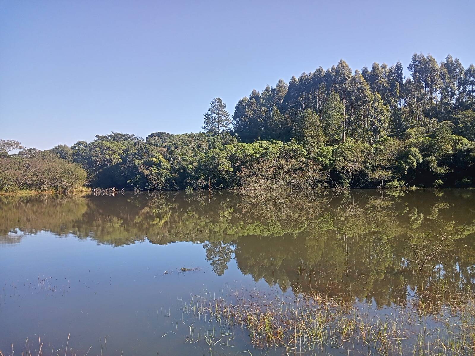 Terreno, 3 hectares - Foto 34