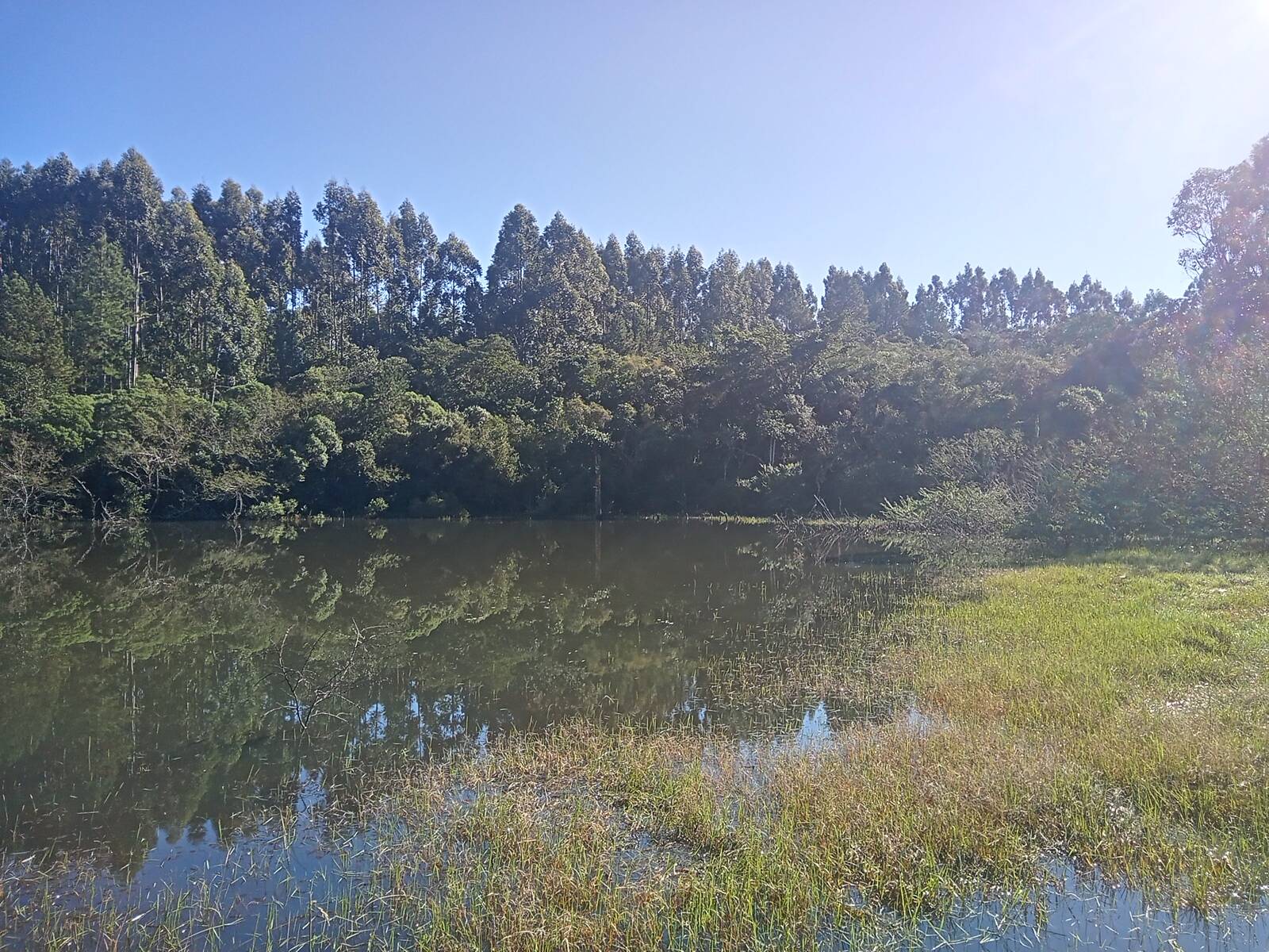 Terreno, 3 hectares - Foto 35