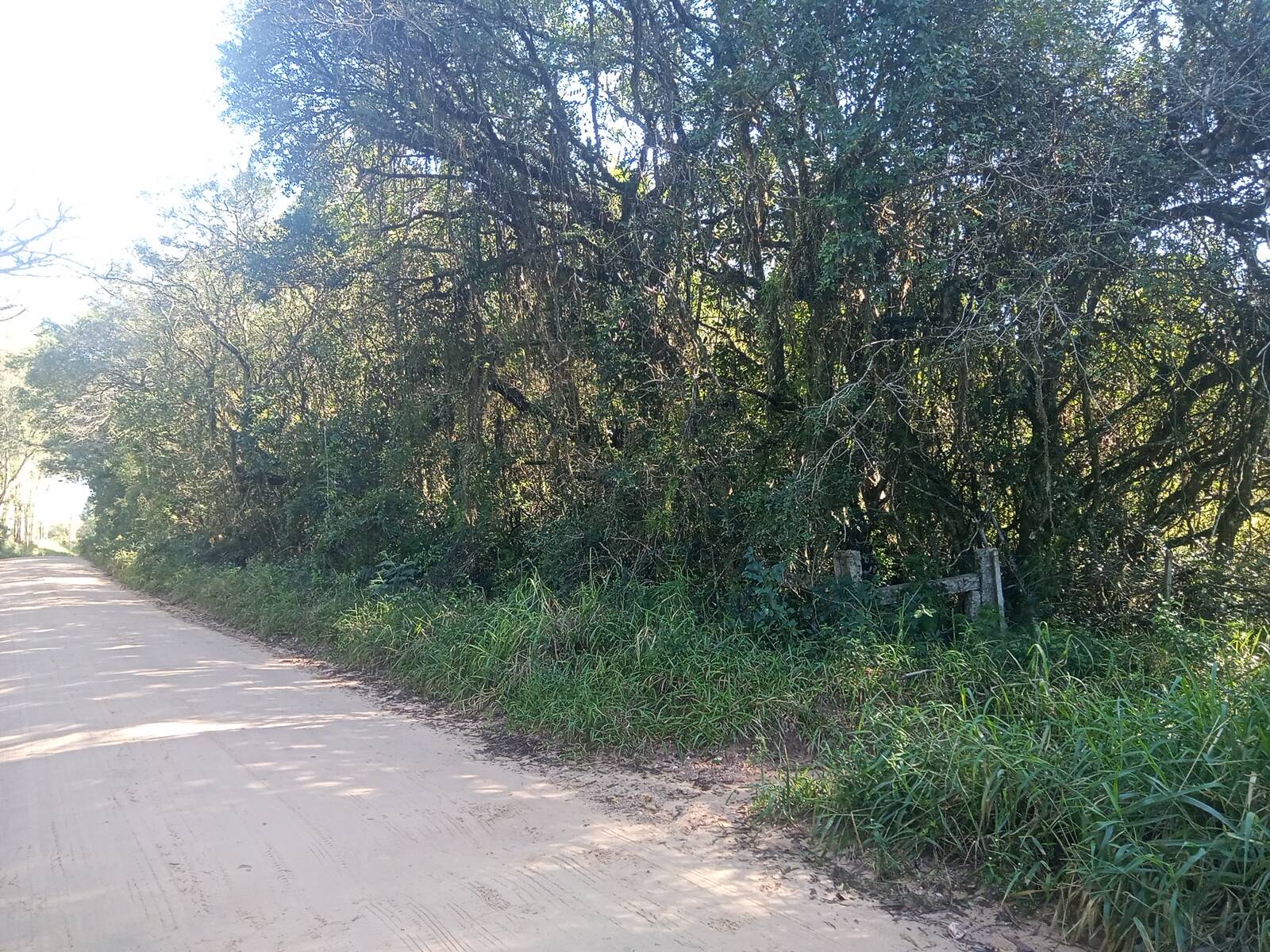 Terreno, 3 hectares - Foto 40