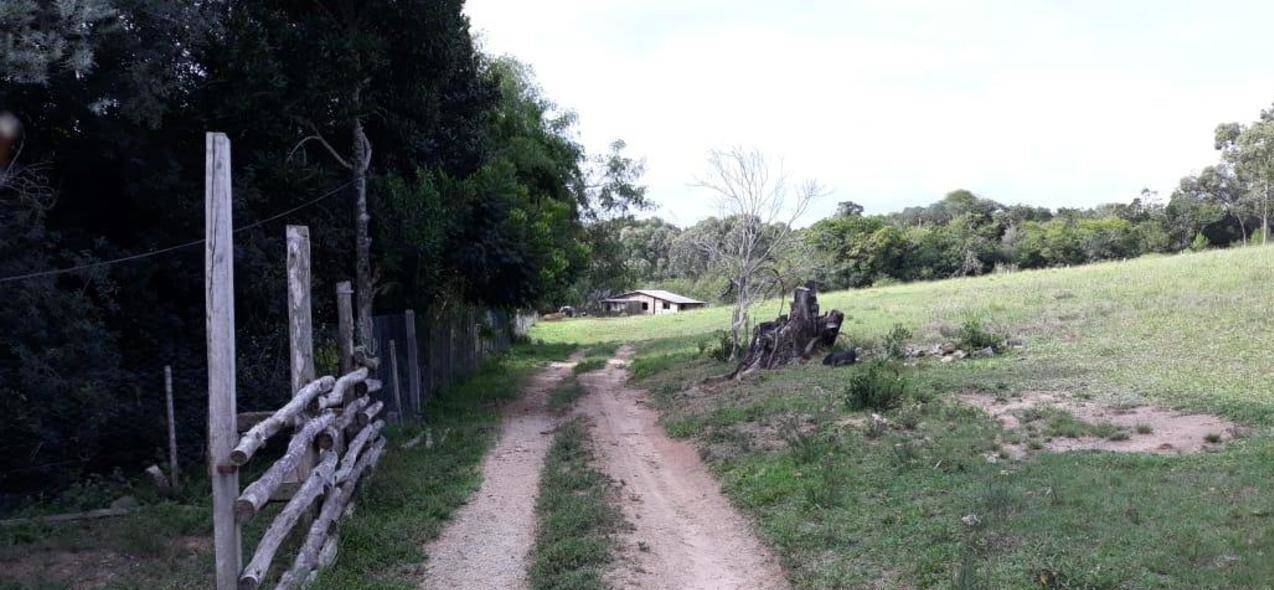 Sítio à venda com 4 quartos, 270m² - Foto 16