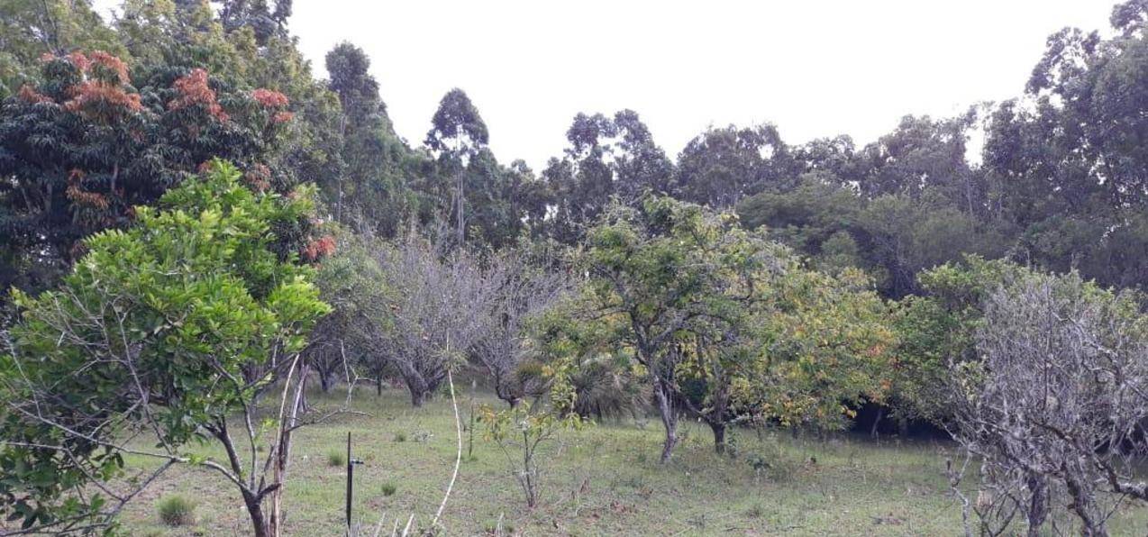 Sítio à venda com 4 quartos, 270m² - Foto 19