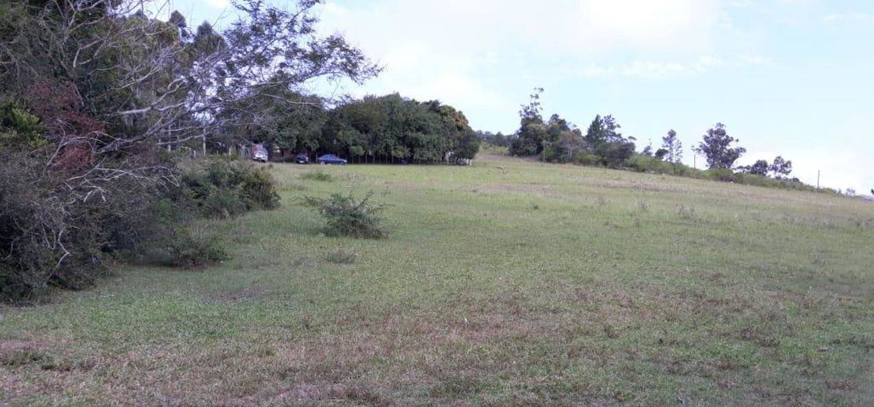 Sítio à venda com 4 quartos, 270m² - Foto 20