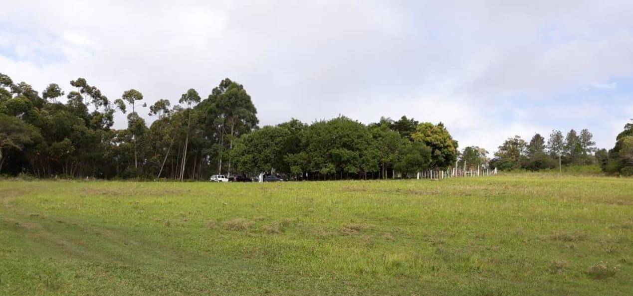 Sítio à venda com 4 quartos, 270m² - Foto 21