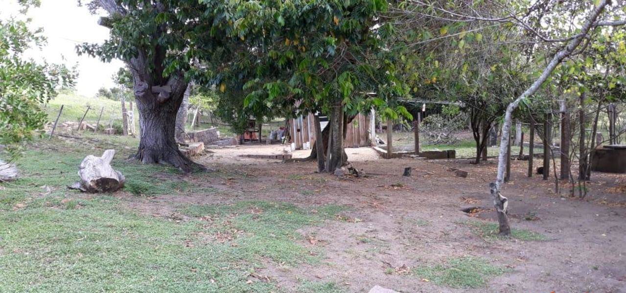 Sítio à venda com 4 quartos, 270m² - Foto 22