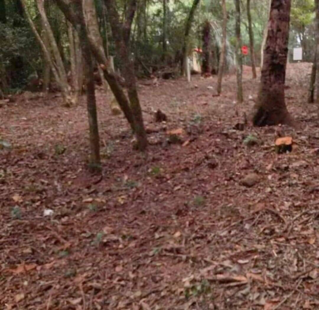 Terreno, 360 m² - Foto 2