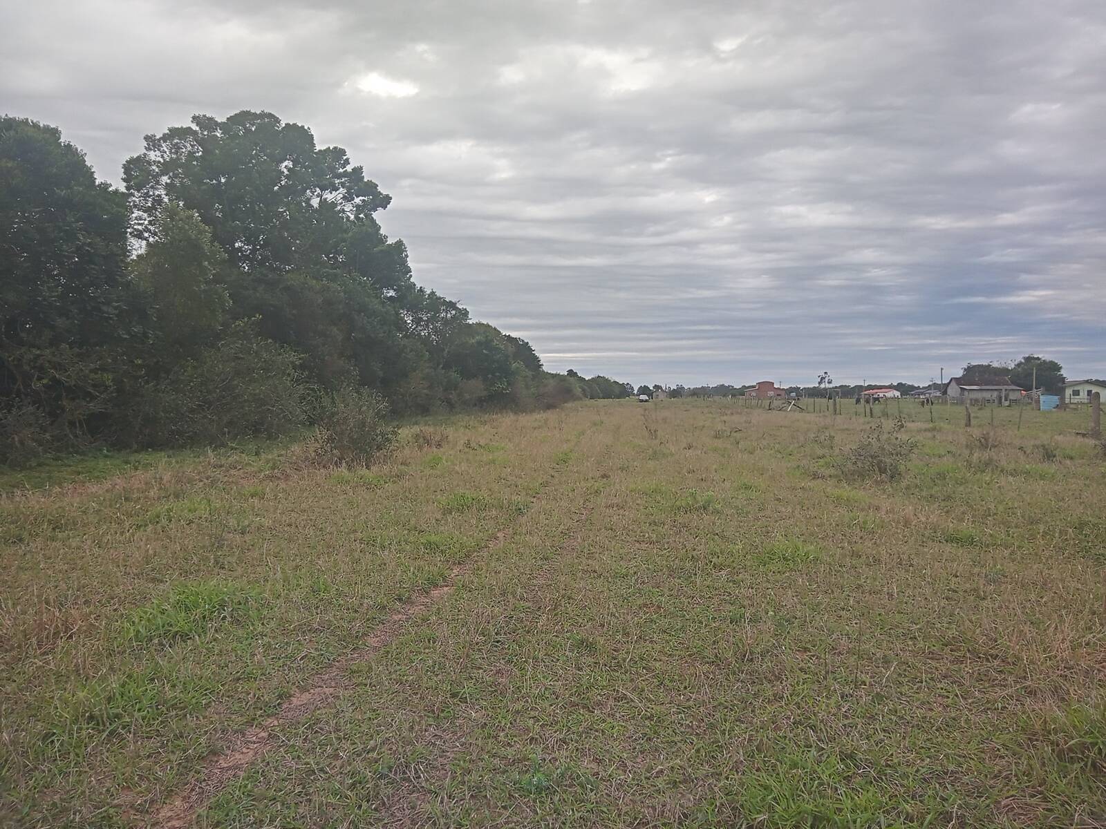 Sítio à venda com 2 quartos, 20000m² - Foto 9