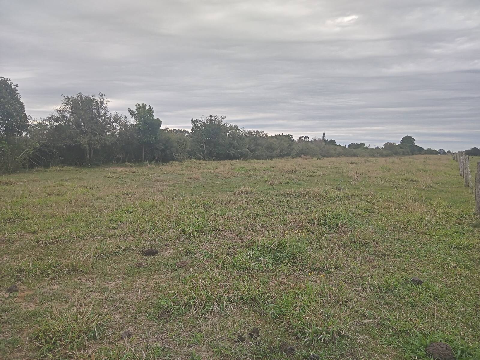 Sítio à venda com 2 quartos, 20000m² - Foto 11