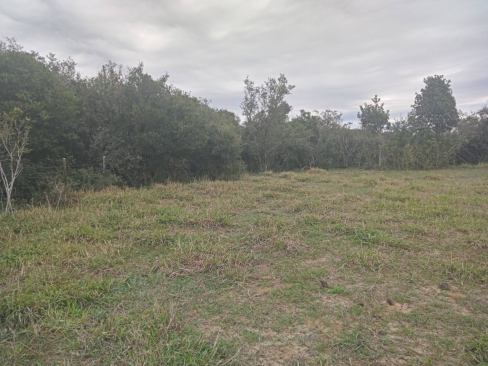 Sítio à venda com 2 quartos, 20000m² - Foto 10