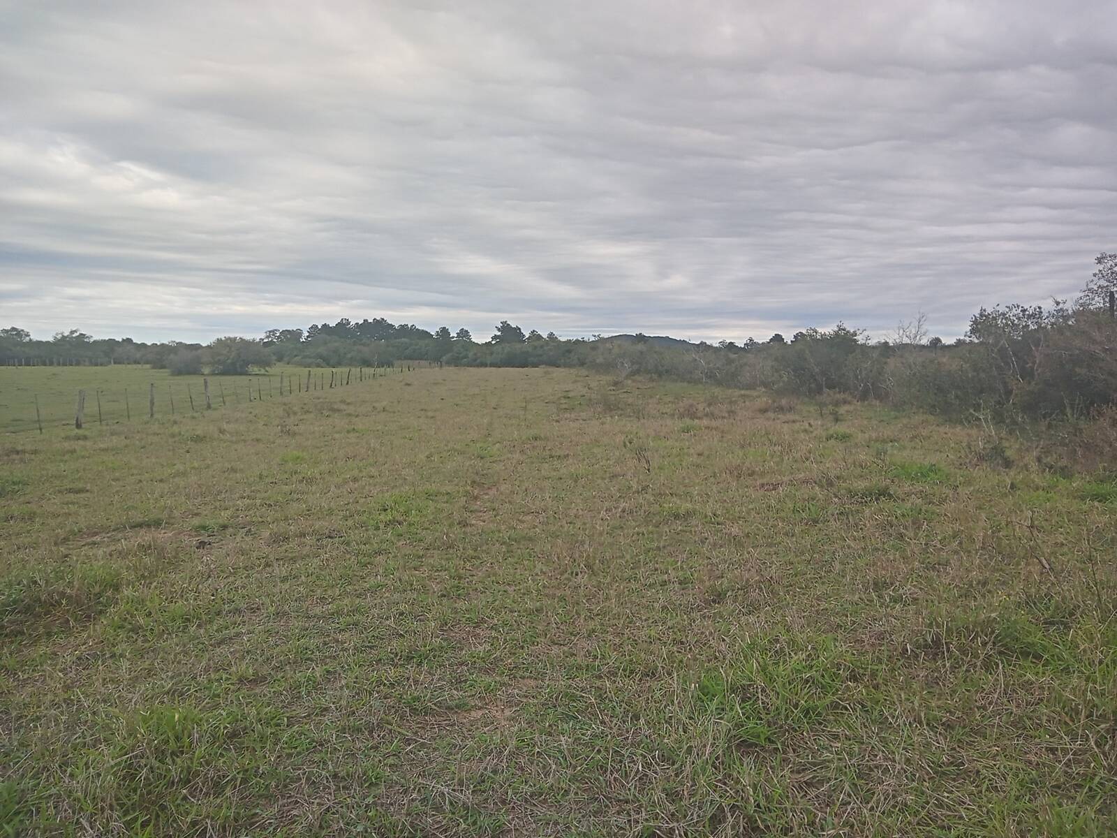 Sítio à venda com 2 quartos, 20000m² - Foto 14