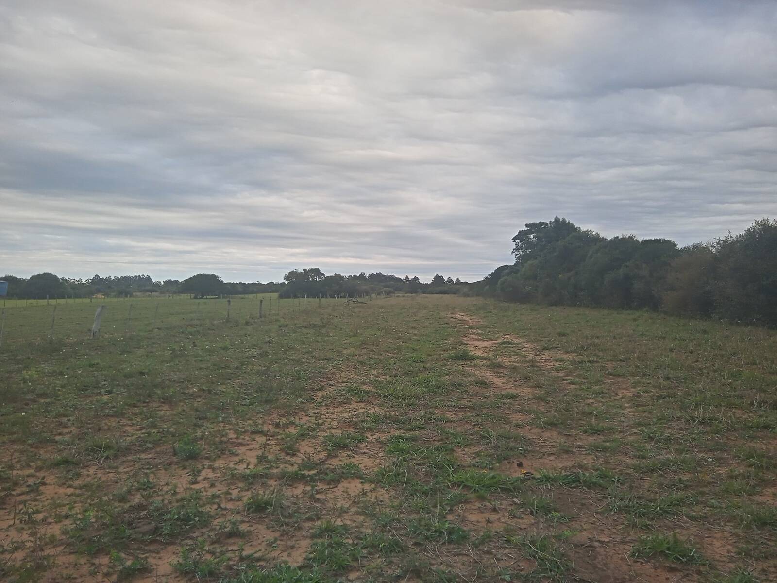 Sítio à venda com 2 quartos, 20000m² - Foto 15