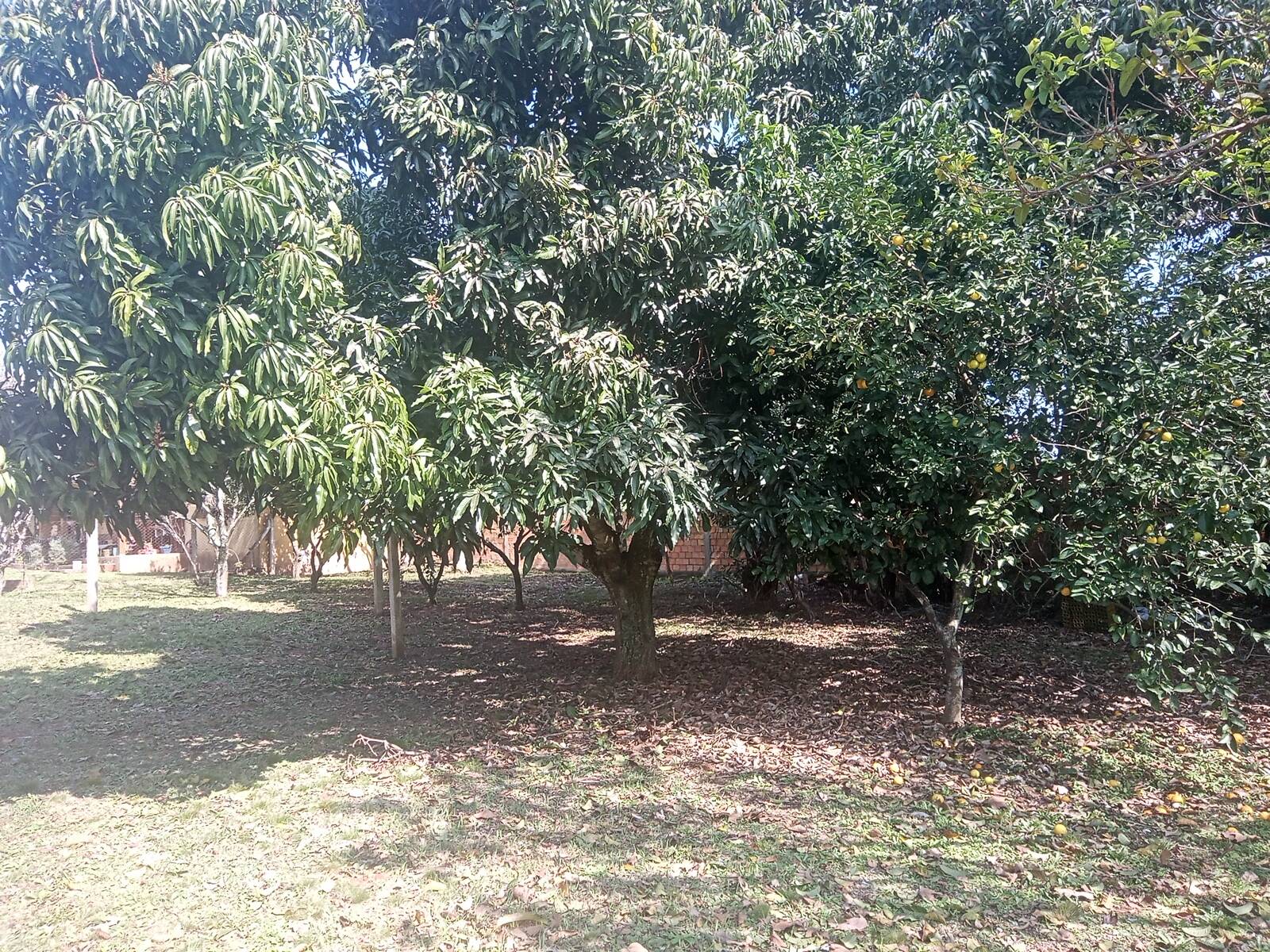 Casa, 2 quartos, 63 m² - Foto 6