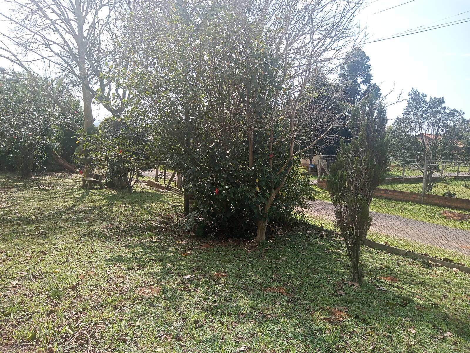 Casa, 2 quartos, 63 m² - Foto 23