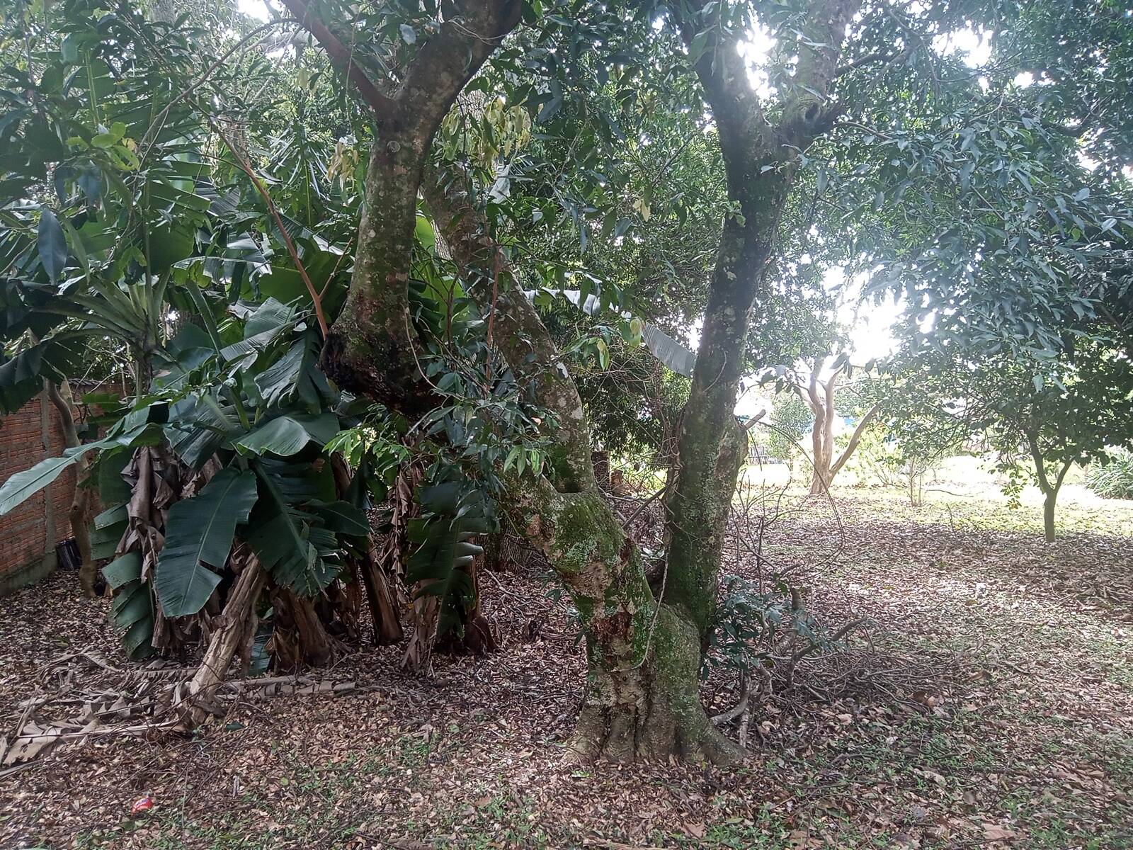 Casa, 2 quartos, 63 m² - Foto 27