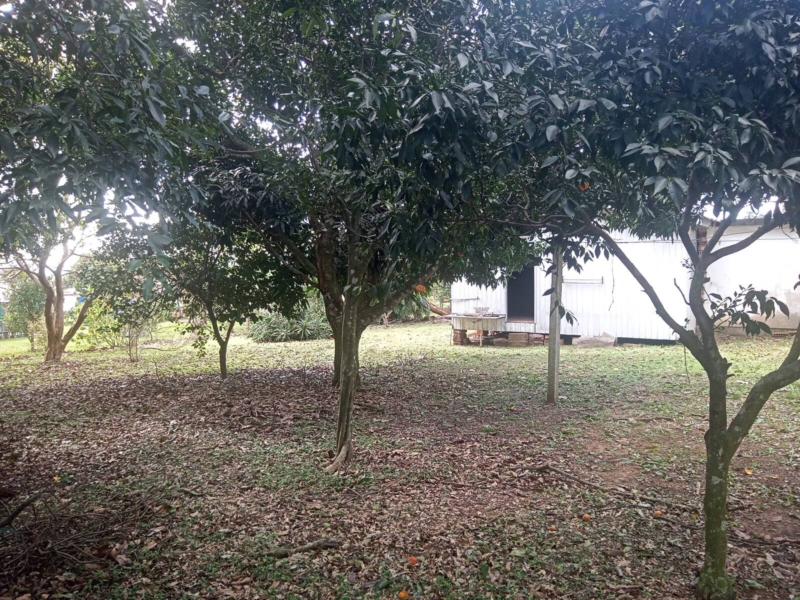 Casa, 2 quartos, 63 m² - Foto 28