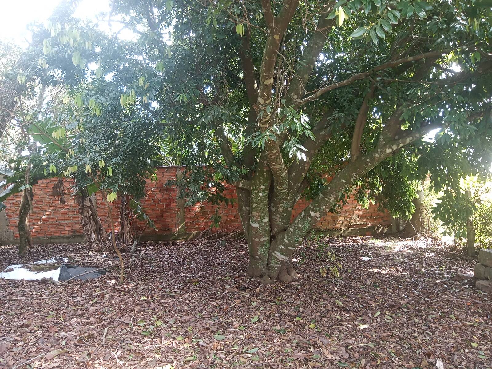 Casa, 2 quartos, 63 m² - Foto 29