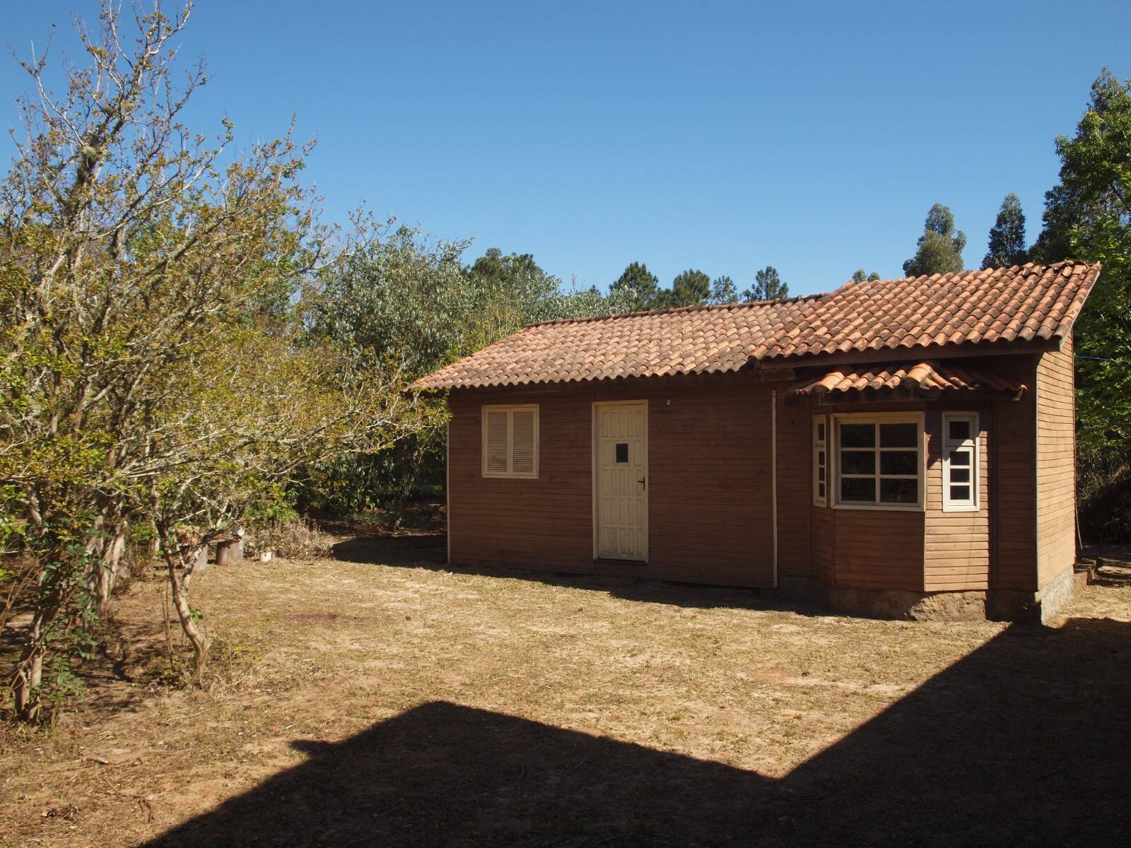 Sítio, 3 quartos, 2056 m² - Foto 4