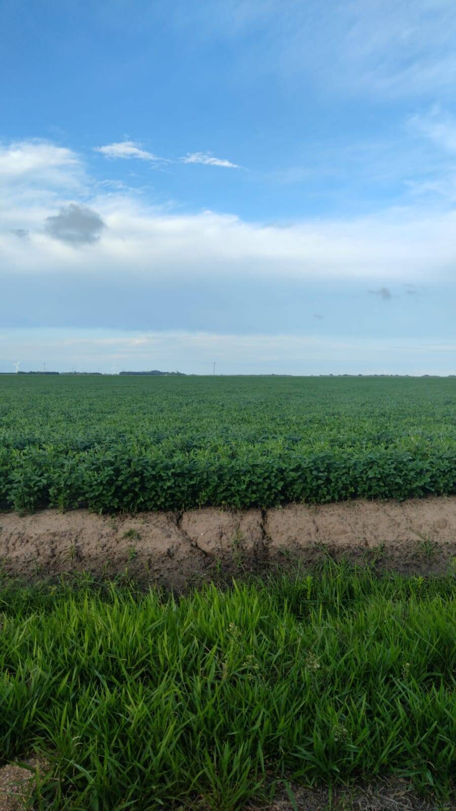 Terreno, 133 m² - Foto 6