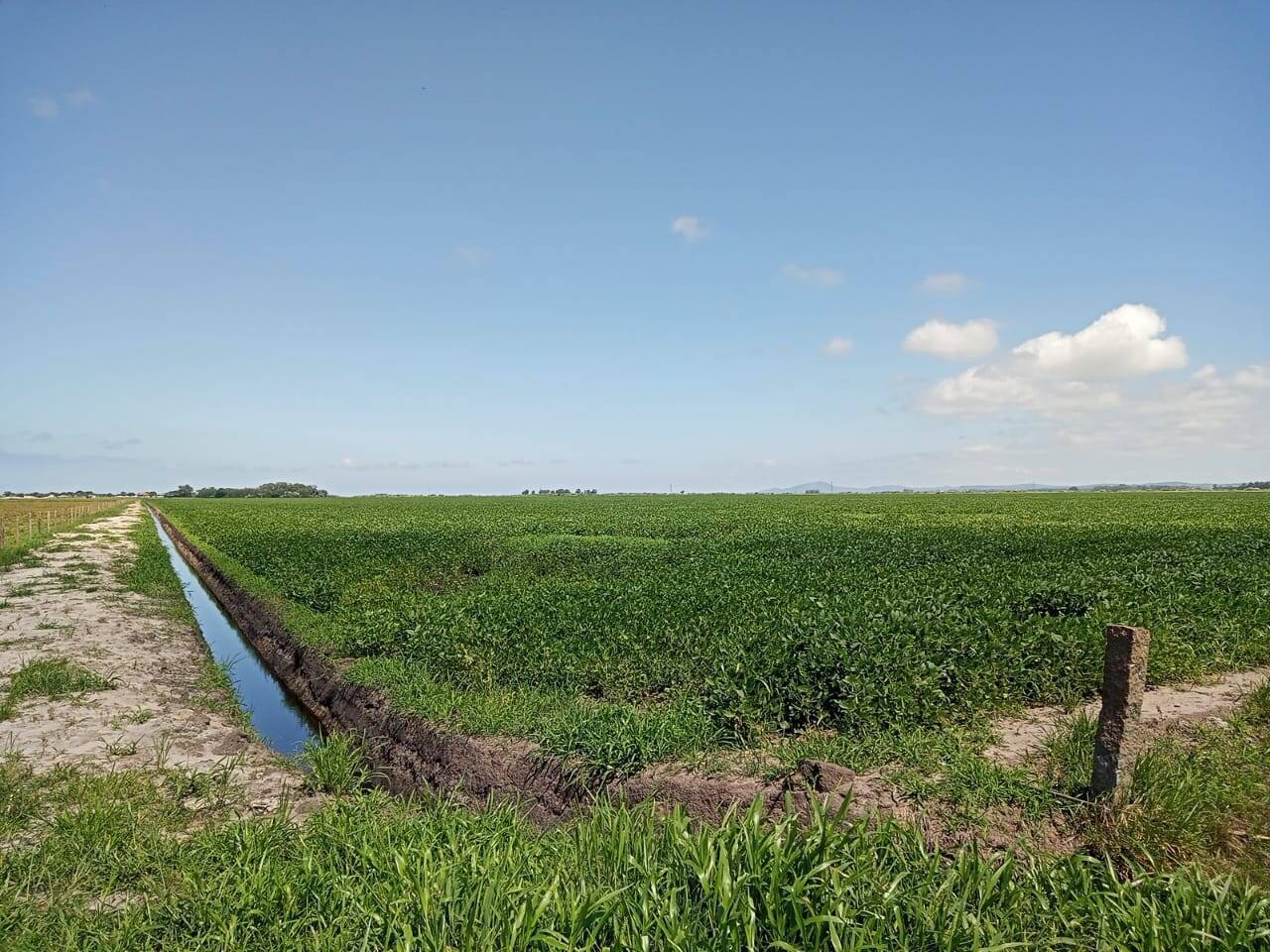 Terreno, 133 m² - Foto 5