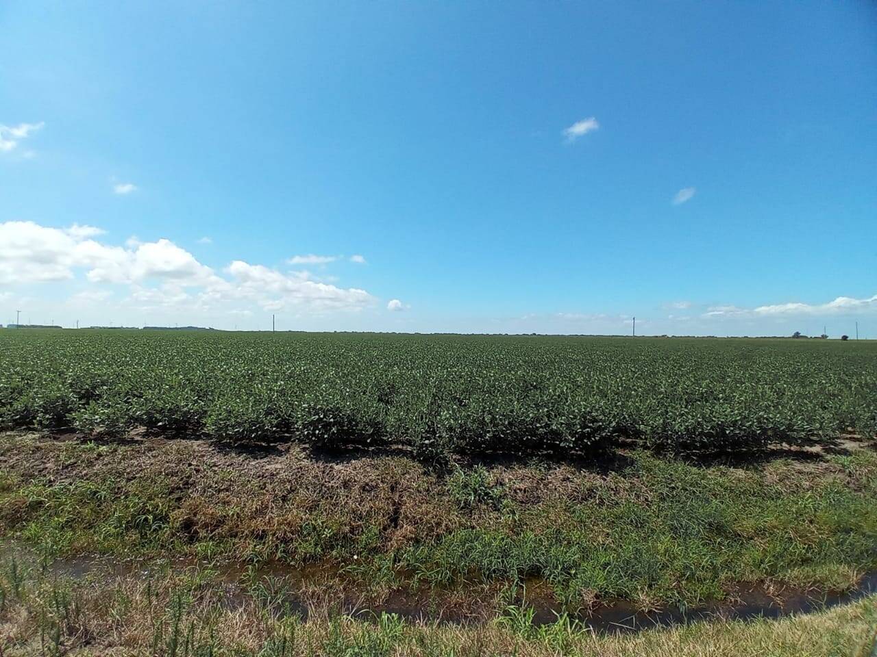 Terreno, 133 m² - Foto 4