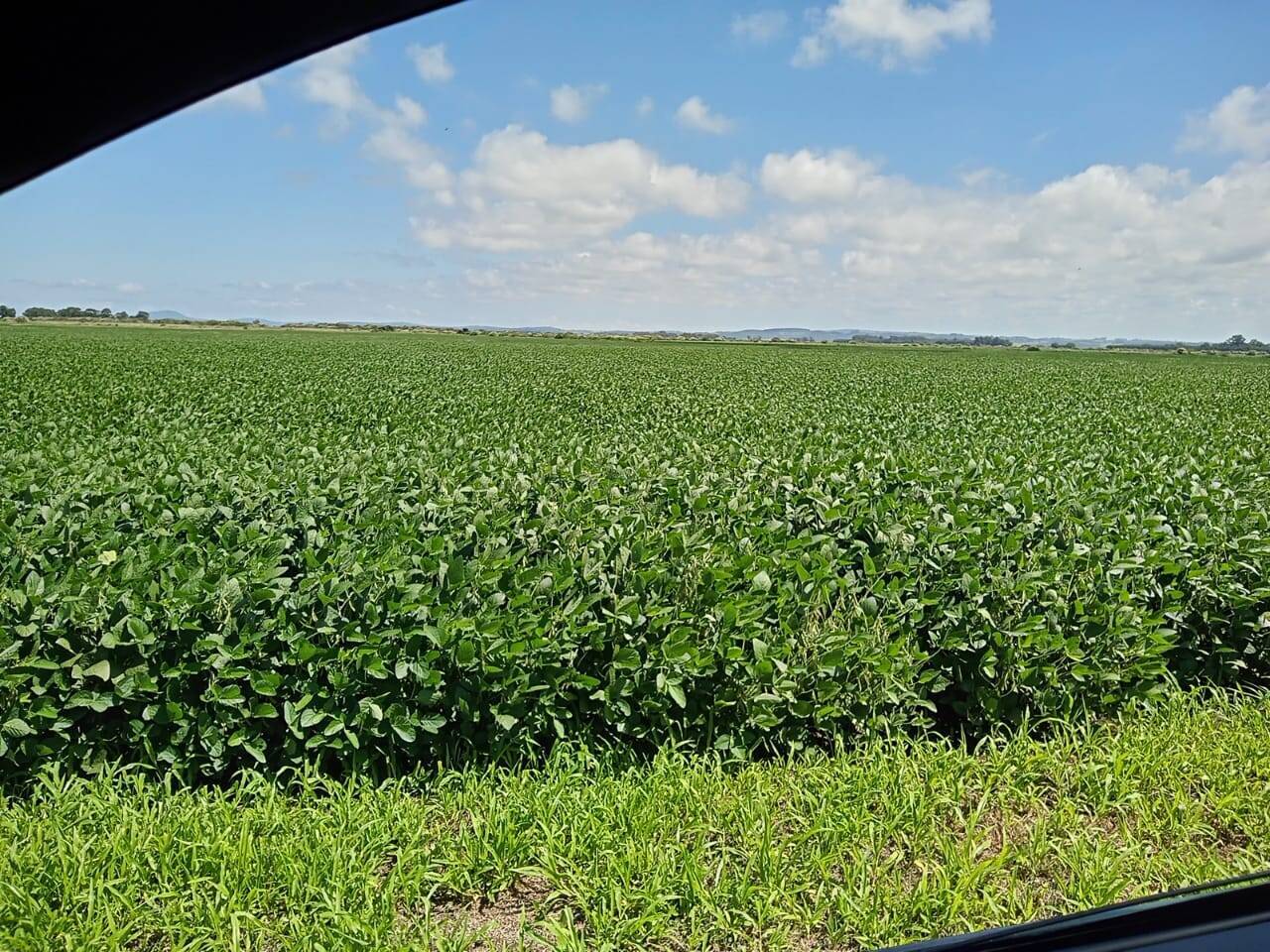 Terreno, 133 m² - Foto 3