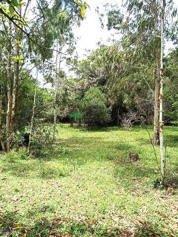 Sítio, 3 quartos, 6 hectares - Foto 36