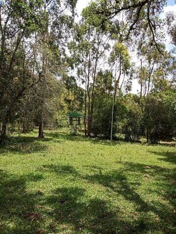 Sítio, 3 quartos, 6 hectares - Foto 39