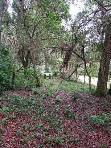 Sítio, 3 quartos, 6 hectares - Foto 40