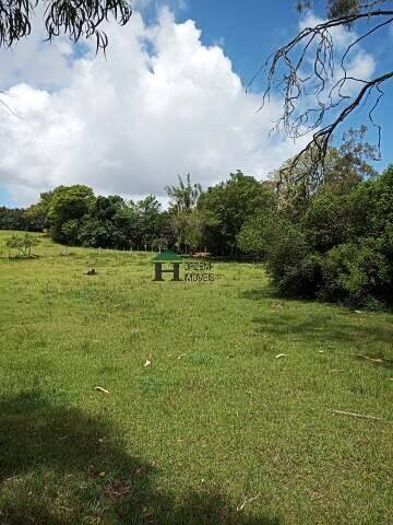 Sítio, 3 quartos, 6 hectares - Foto 43