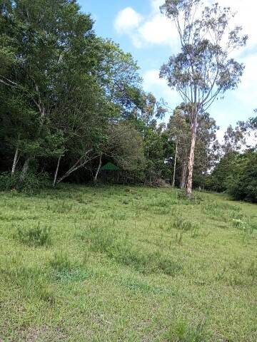 Sítio, 3 quartos, 6 hectares - Foto 42