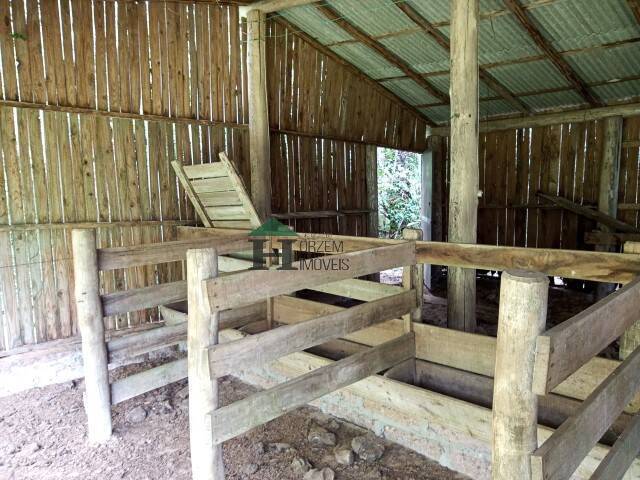 Sítio, 3 quartos, 6 hectares - Foto 49