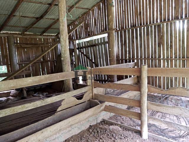 Sítio, 3 quartos, 6 hectares - Foto 50