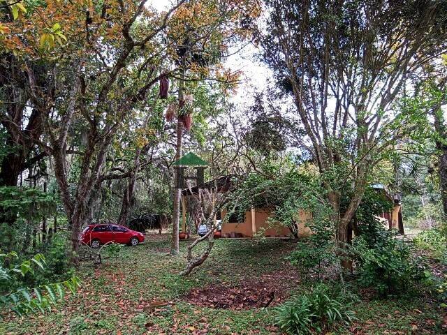 Sítio, 3 quartos, 6 hectares - Foto 2