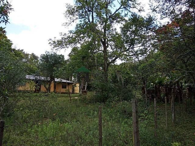 Sítio, 3 quartos, 6 hectares - Foto 3