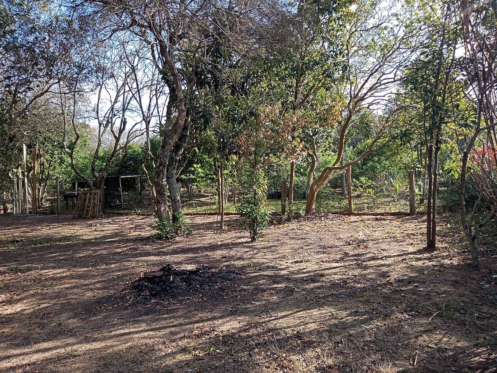 Sítio à venda com 3 quartos, 70m² - Foto 14