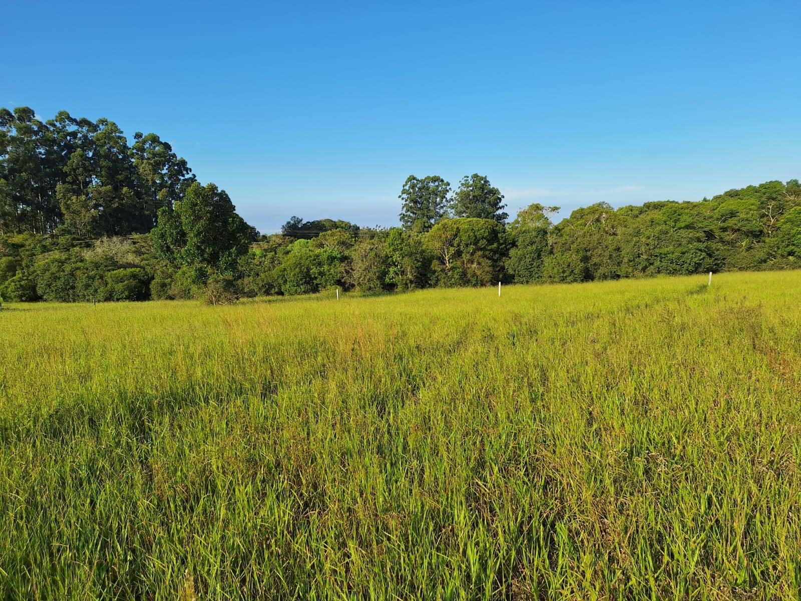 Terreno, 318 m² - Foto 8