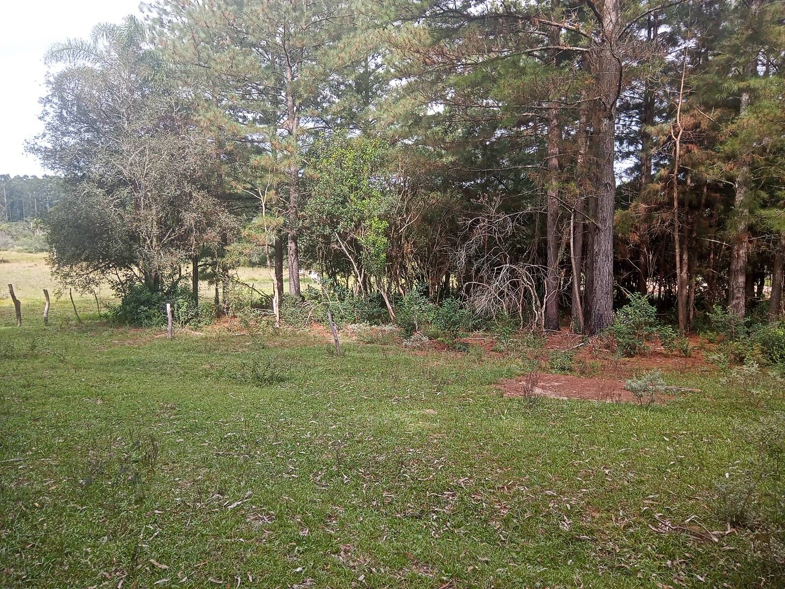 Sítio à venda com 1 quarto, 140m² - Foto 18