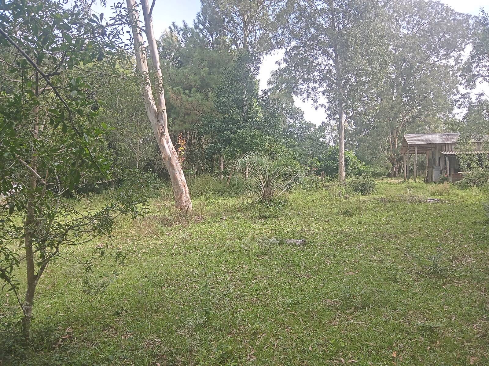 Sítio à venda com 1 quarto, 140m² - Foto 17