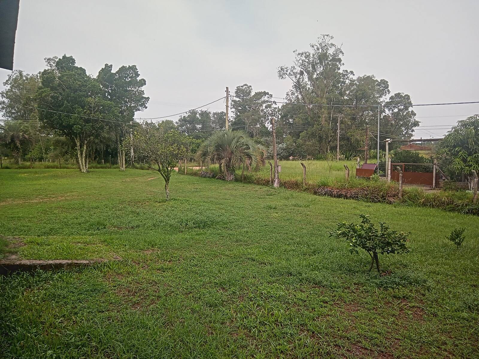 Sítio à venda com 1 quarto, 140m² - Foto 20
