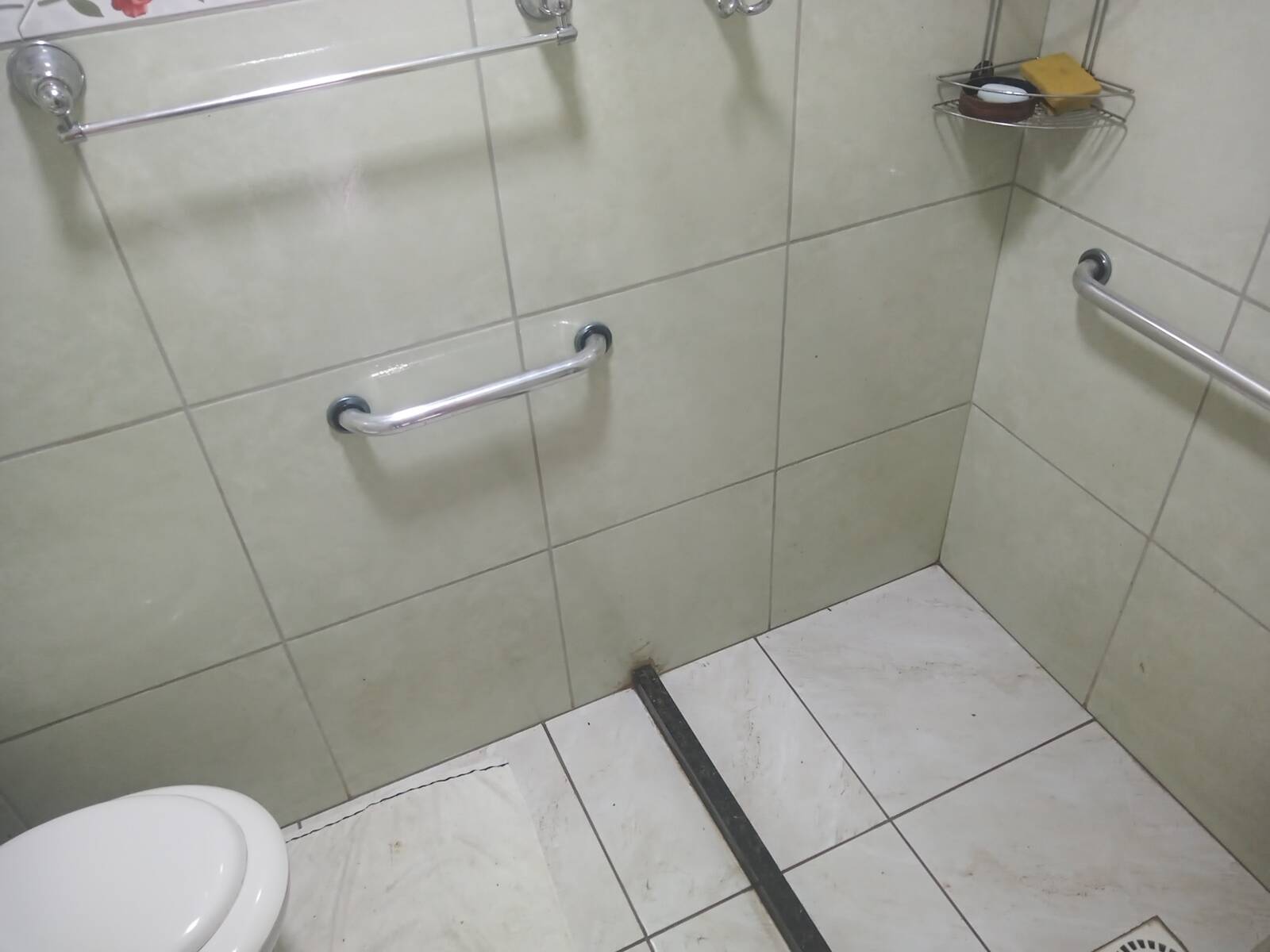 Sítio à venda com 1 quarto, 140m² - Foto 11