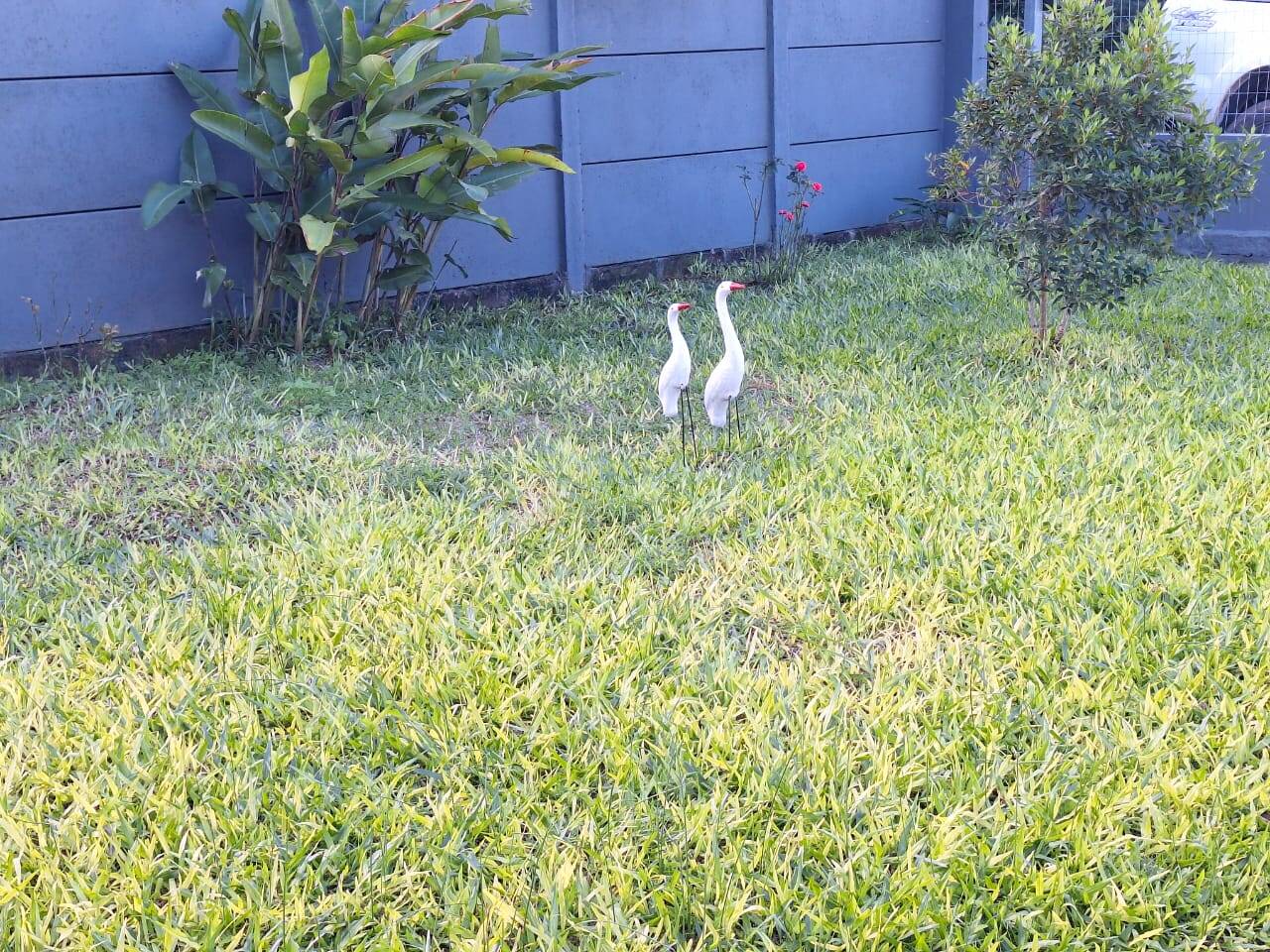 Casa, 2 quartos, 104 m² - Foto 24