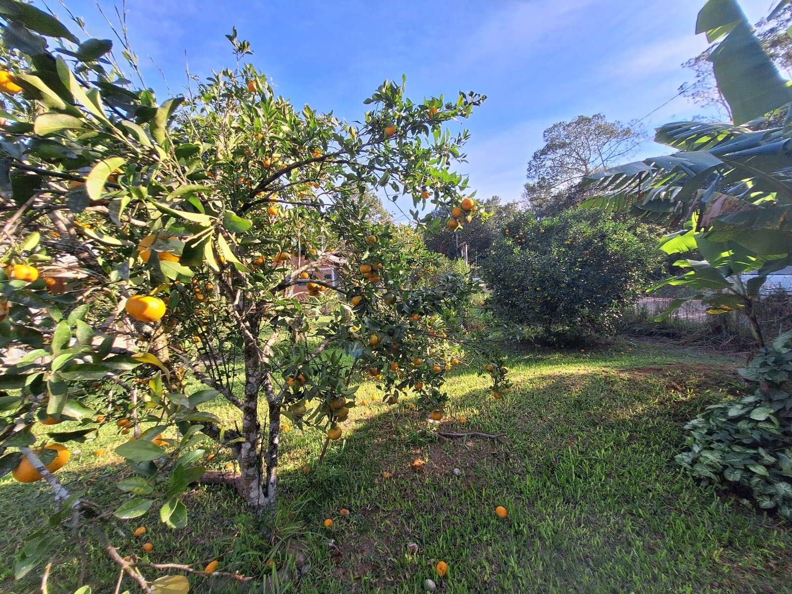 Casa, 3 quartos, 110 m² - Foto 20