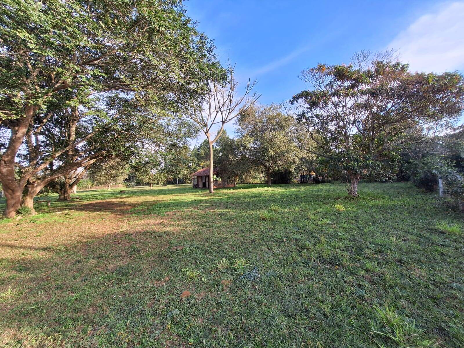 Terreno, 3200 m² - Foto 2