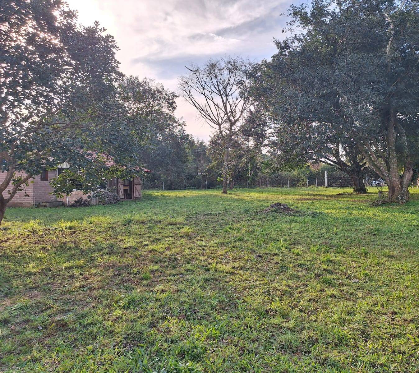 Terreno, 3200 m² - Foto 3