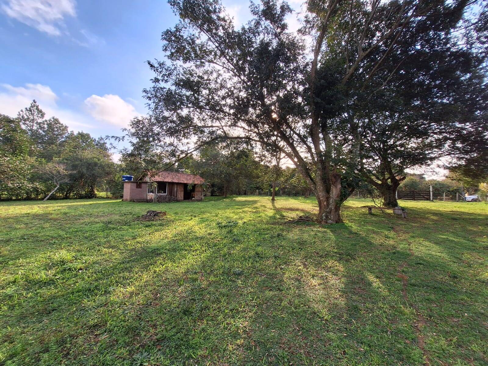 Terreno, 3200 m² - Foto 6